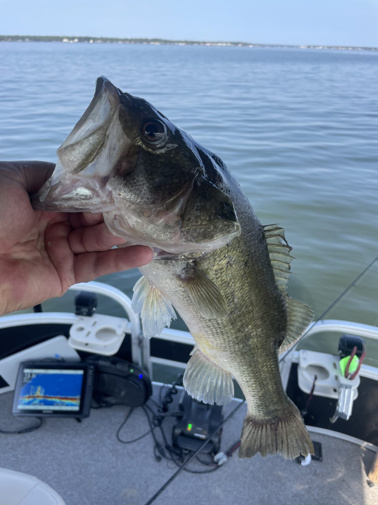 lake conroe fishing tour