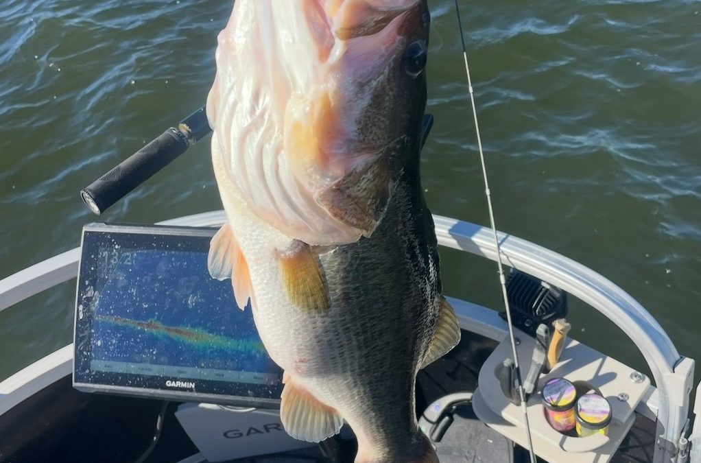 Hook Into Big Largemouth: Premier Bass Fishing on Lake Conroe